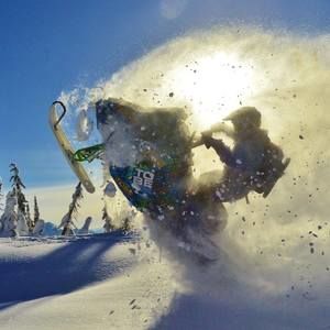 Meet your Posher, Gavin